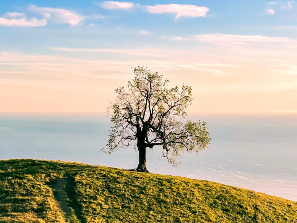 Big Sur Swing, California